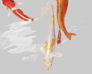 类魂新游《Deep Death Dungeon Darkness》发布预告